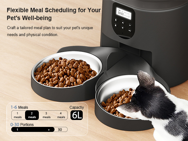 automatic cat feeder