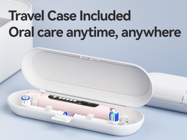 spin toothbrushes travel case