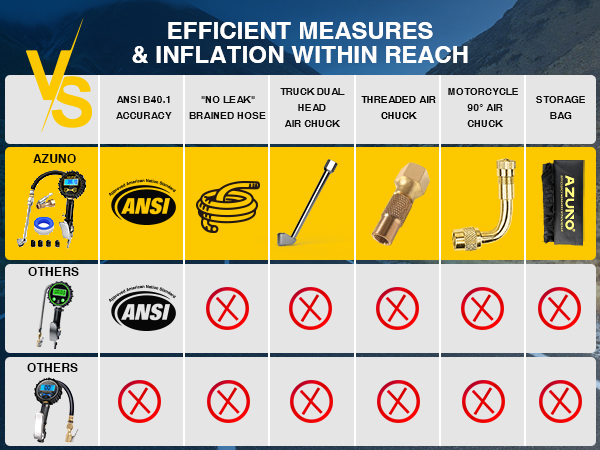 best tire pressure gauge