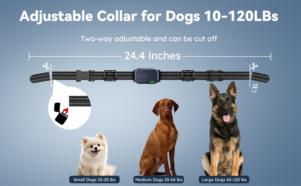 Shock Collar