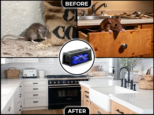 mouse traps indoor for home