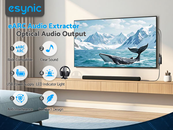 eSynic Professional ARC/eARC Audio Extractor
