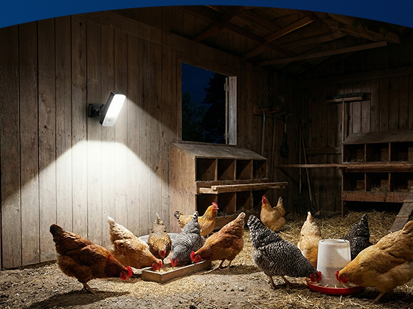 Farm Lighting