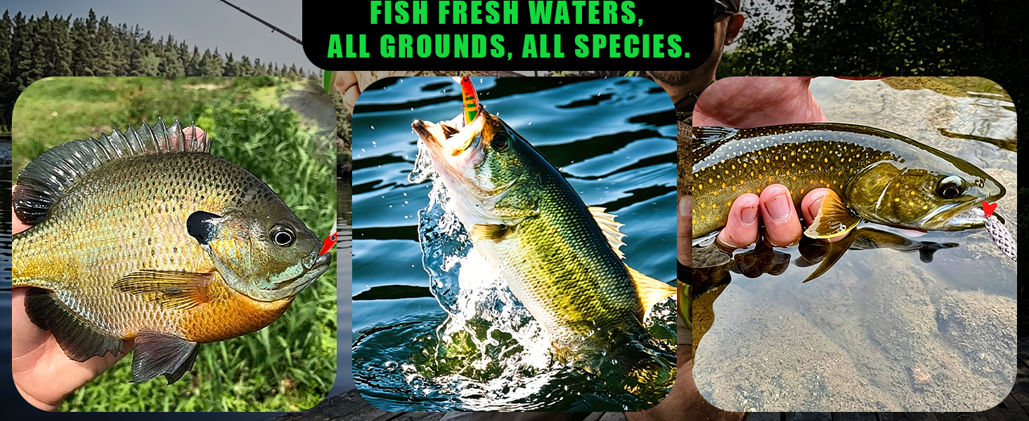Ideal Fishing Gift for All Skill Levels