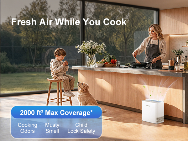 Air purifiers for large rooms