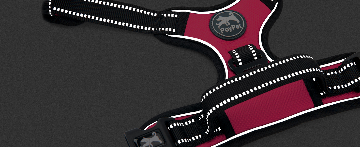 Reflective Strips