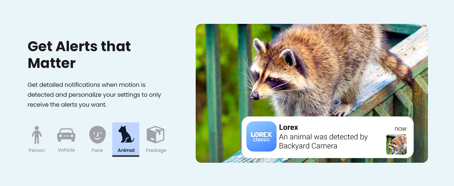 Get Alerts that Matter - Animal Detection