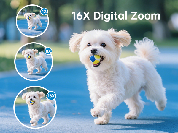 portable digital camera