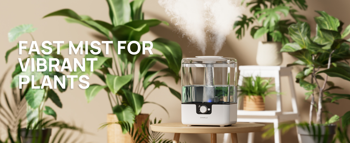 Humidifiers for Bedroom