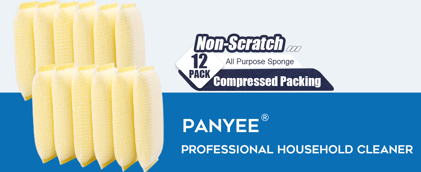 non-scratch sponge 