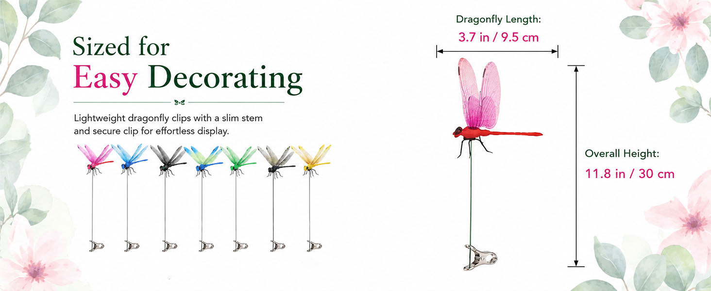 Fun Dragon Fly Clips Set