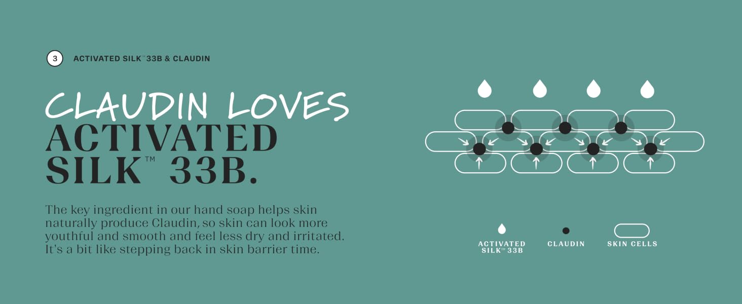 Claudin loves Activated Silk 33B