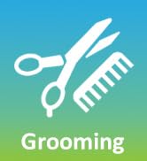 Groom