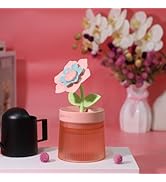 Gardenia Desktop Humidifier for Bedroom, Quiet Cool Mist Humidifier with Diffuser and LED Night L...
