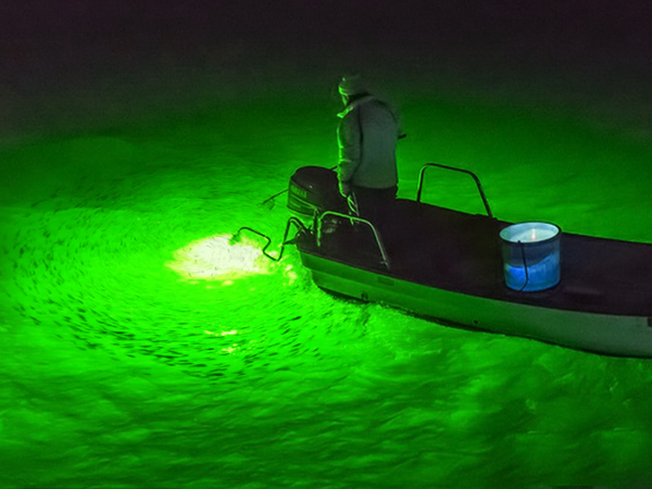 underwater fishing light