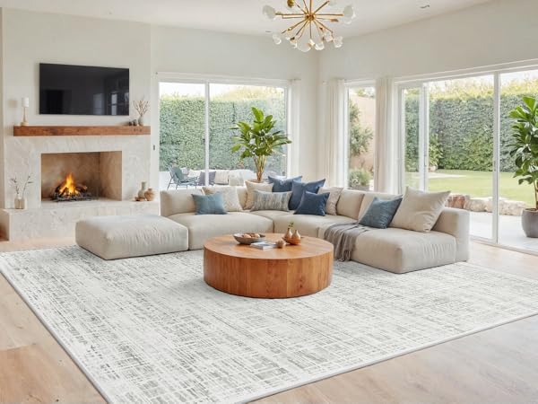 Area Rug Living Room Rugs