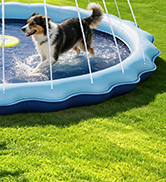 Splash pad, dog pool