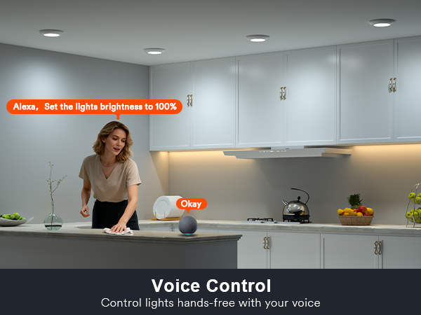 disk light pro