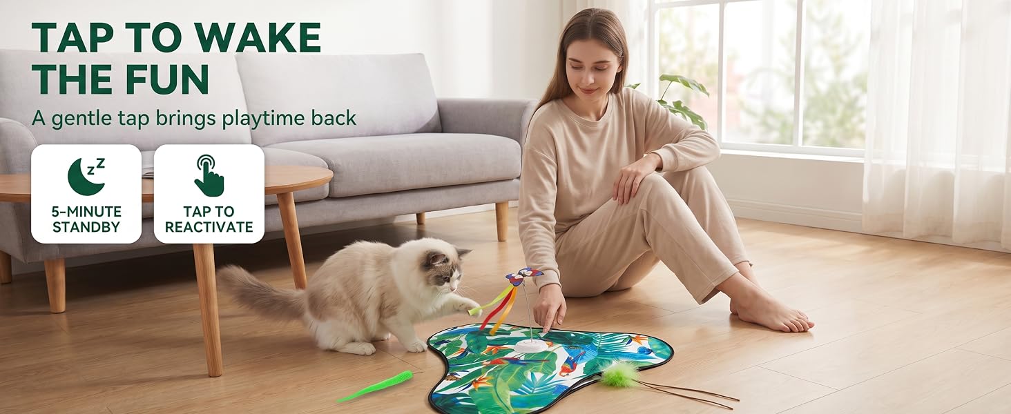 cat toys for indoor cats