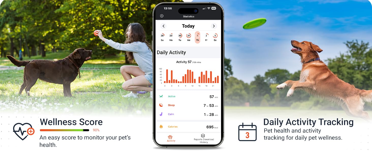 pet loaction tracker