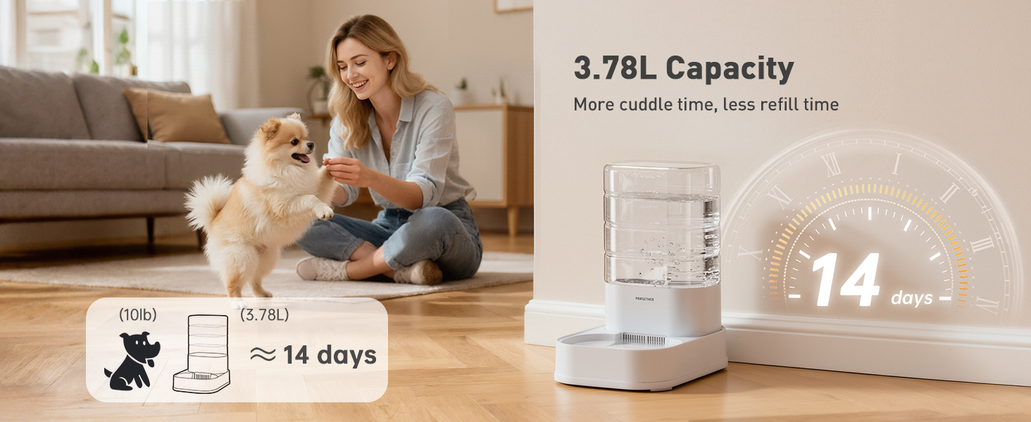 water dispenser for dogs