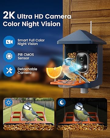 bird feeder with camera 2K