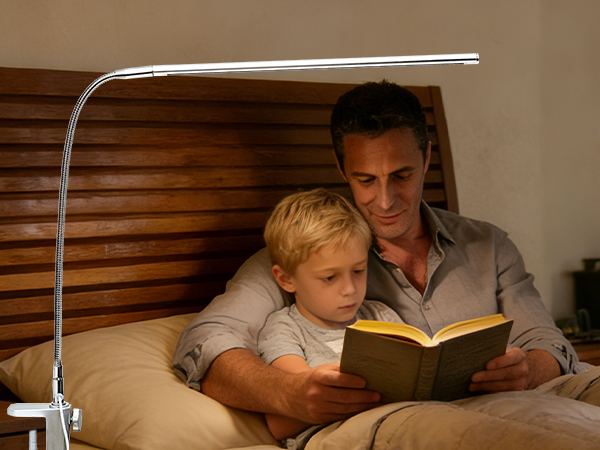 goose neck lamp desk