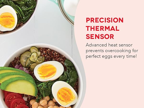 Precision Thermal Sensor