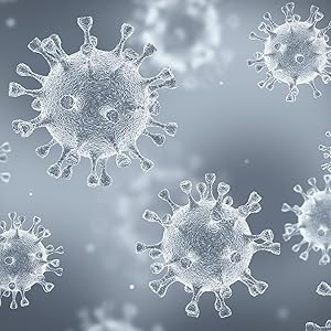 Microscopic image of bacteria