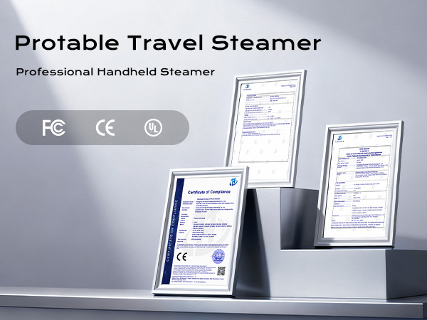 travel steamer dual voltage