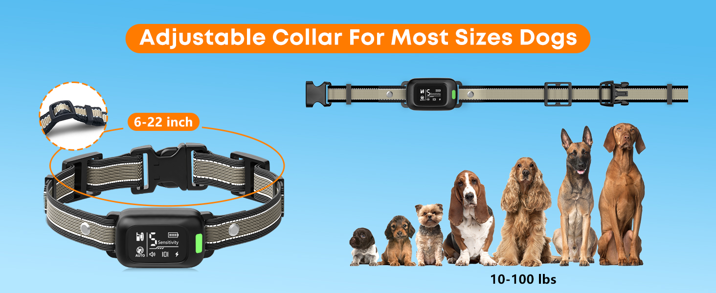 training collars for large dogs