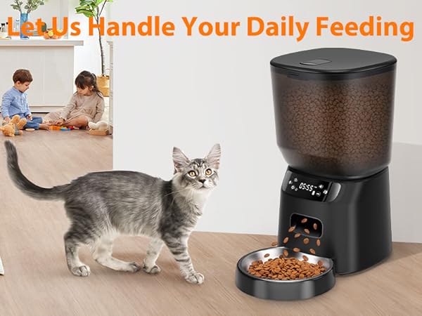 automatic cat feeder