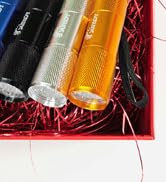 UV01 365nm UV Flashlight Black Light, USB Rechargeable High Power Blacklight Flashlight, Professi...