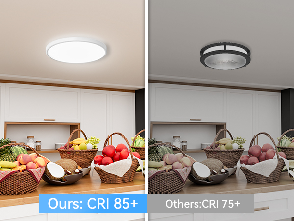 LED Ceiling Light