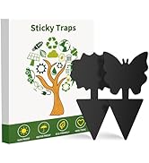 Fruit Fly Traps, 100 Pack Black Sticky Traps, Fungus Gnat Traps, Plant Fly Stickers for Indoor an...
