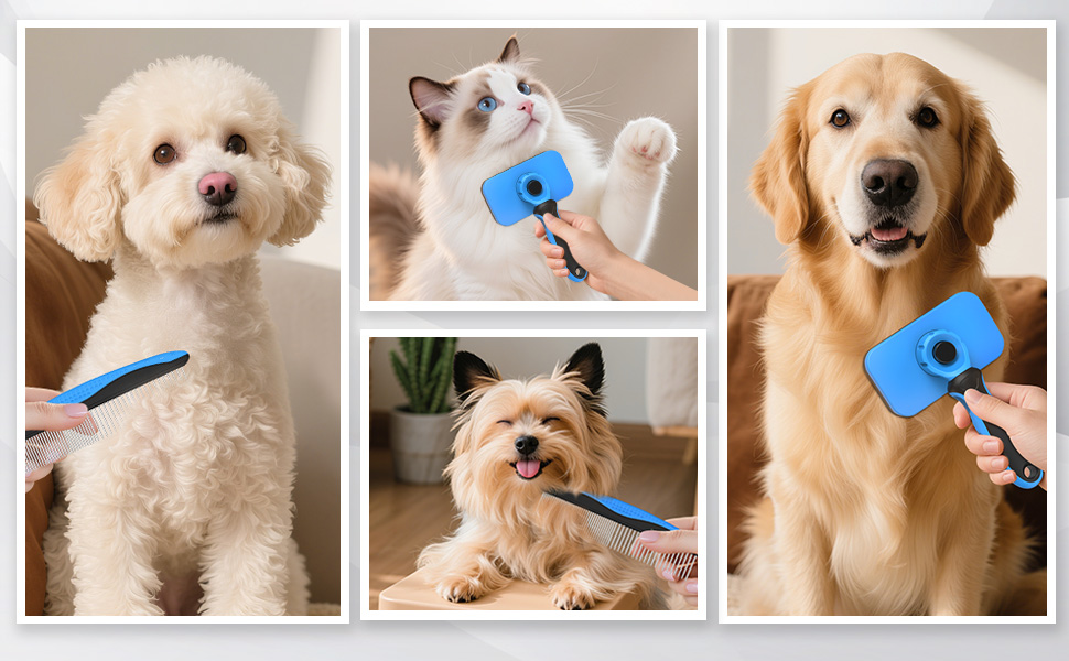 slicker brush for dogs