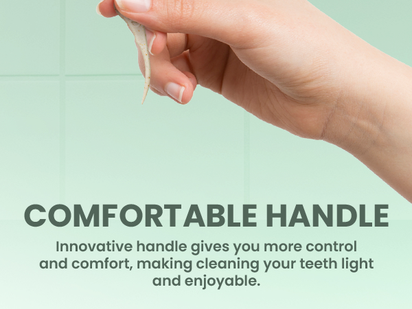 Dental Floss Picks