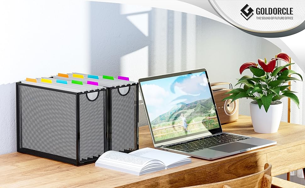 Hanging file organizer