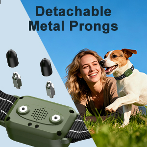 e collar for dogs