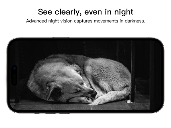 pet cam with phone app, pet cam with audio and video, pet cam with audio