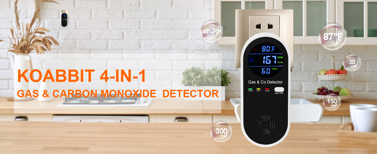 gas &amp;amp; carbon monoxide detector