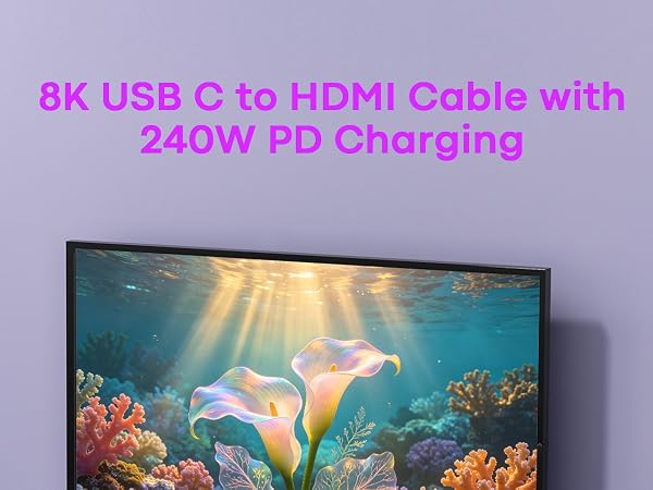 USB C to hdmi 2.1 cable