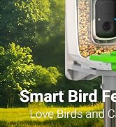 Smart Bird Feeder with Camera Solar Powered