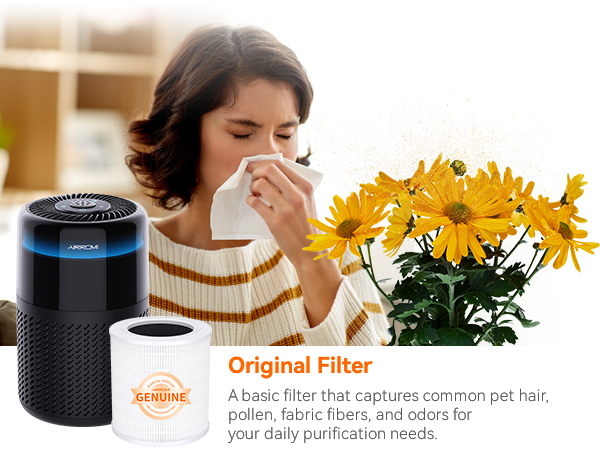 Air purifier filter