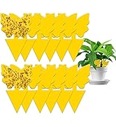24Pcs Fruit Fly Traps for Indoors, Gnat Sticky Traps for House Plant, Fruit Fly, Whitefly, Fungus...
