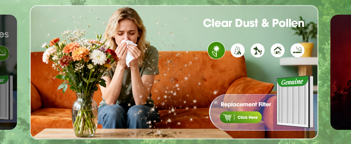 air purifiers for allergies