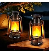 Toodour Solar &amp; Battery Powered Lantern Outdoor Lights, 2 Pack Bronze Vintage LED Lantern with 2 ...