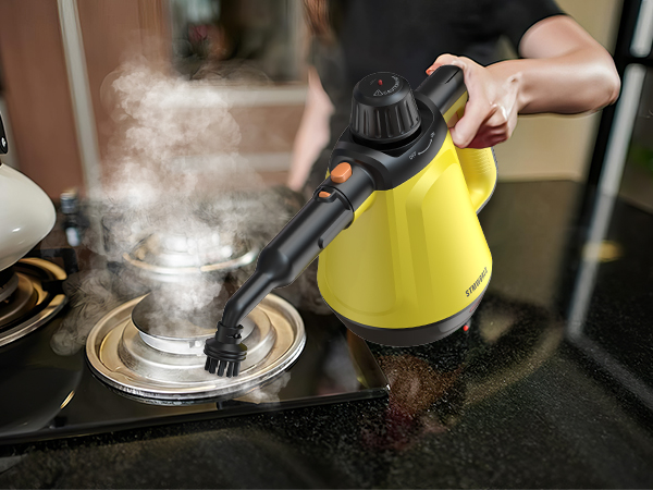 steam cleaner