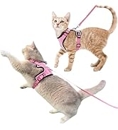Luxelle 2 Pack Escape-Proof Cat Harness and Leash Set for Walking – Adjustable No Pull Soft Vest ...