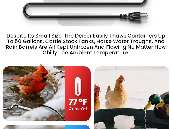 heated chicken waterer